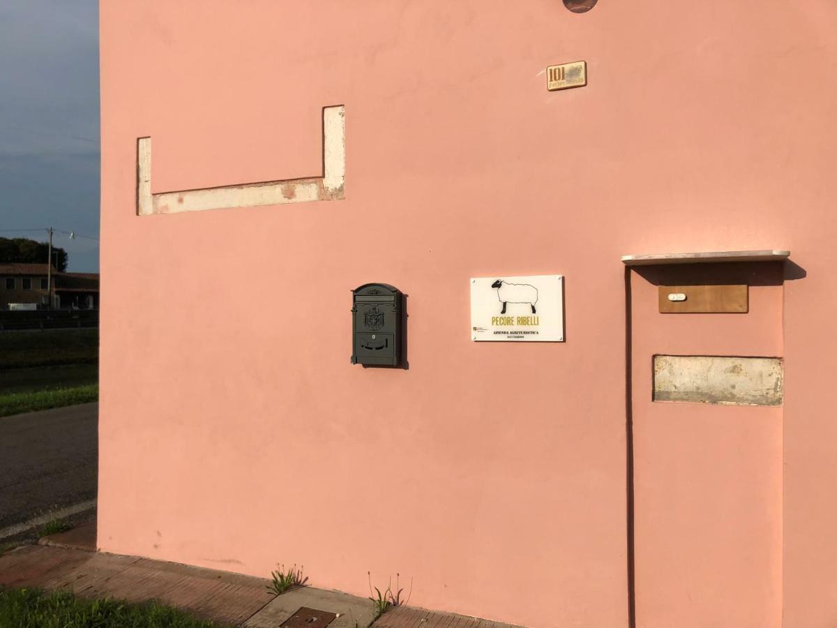 Pecore Ribelli Mira Exteriör bild