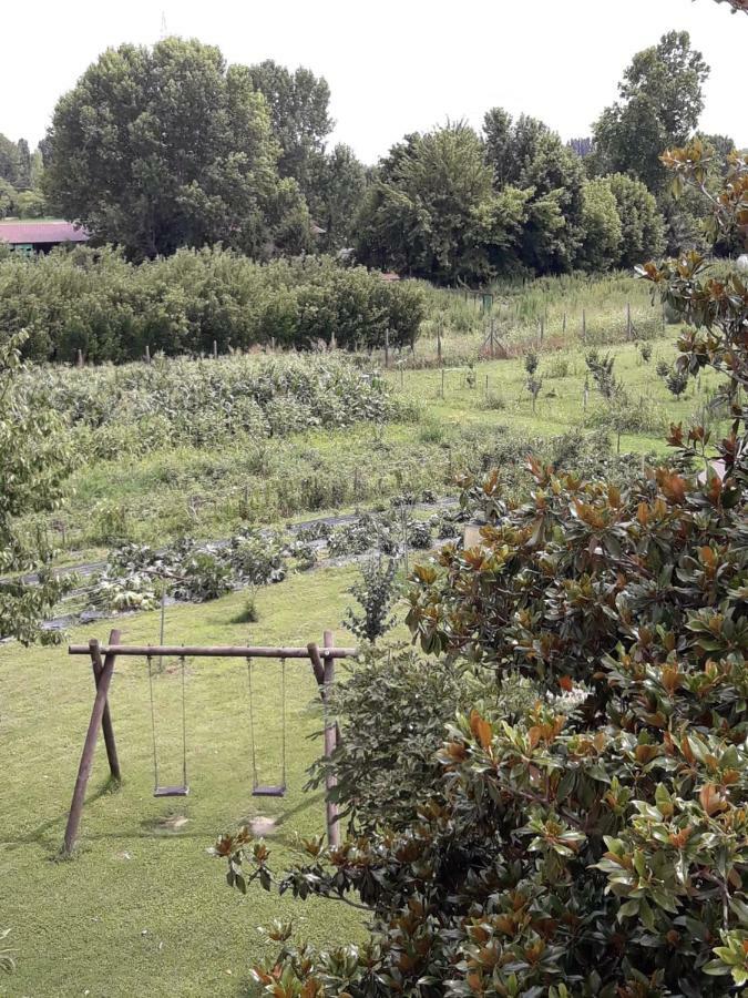 Pecore Ribelli Mira Exteriör bild